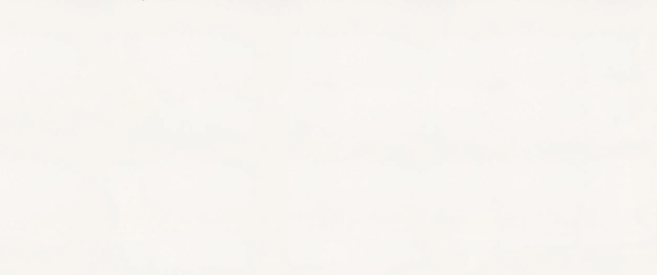 Caesarstone Pure White