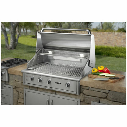 Capital Built-In Natural Gas BBQ with Solid Flat Plate ACG40RBI1N