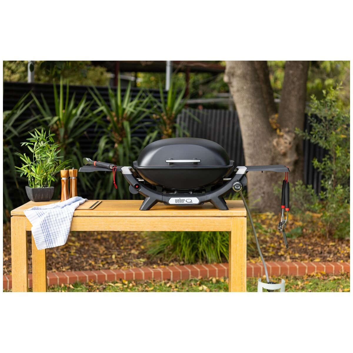 Weber Q2000N LP Black 28310024