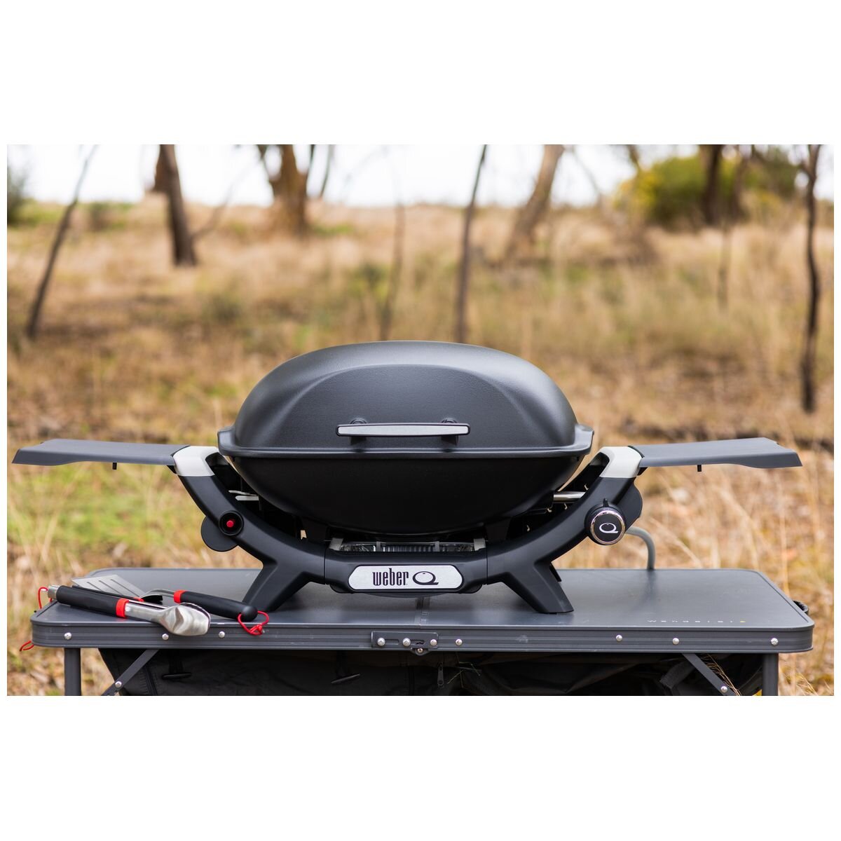Weber Q2000N LP Black 28310024