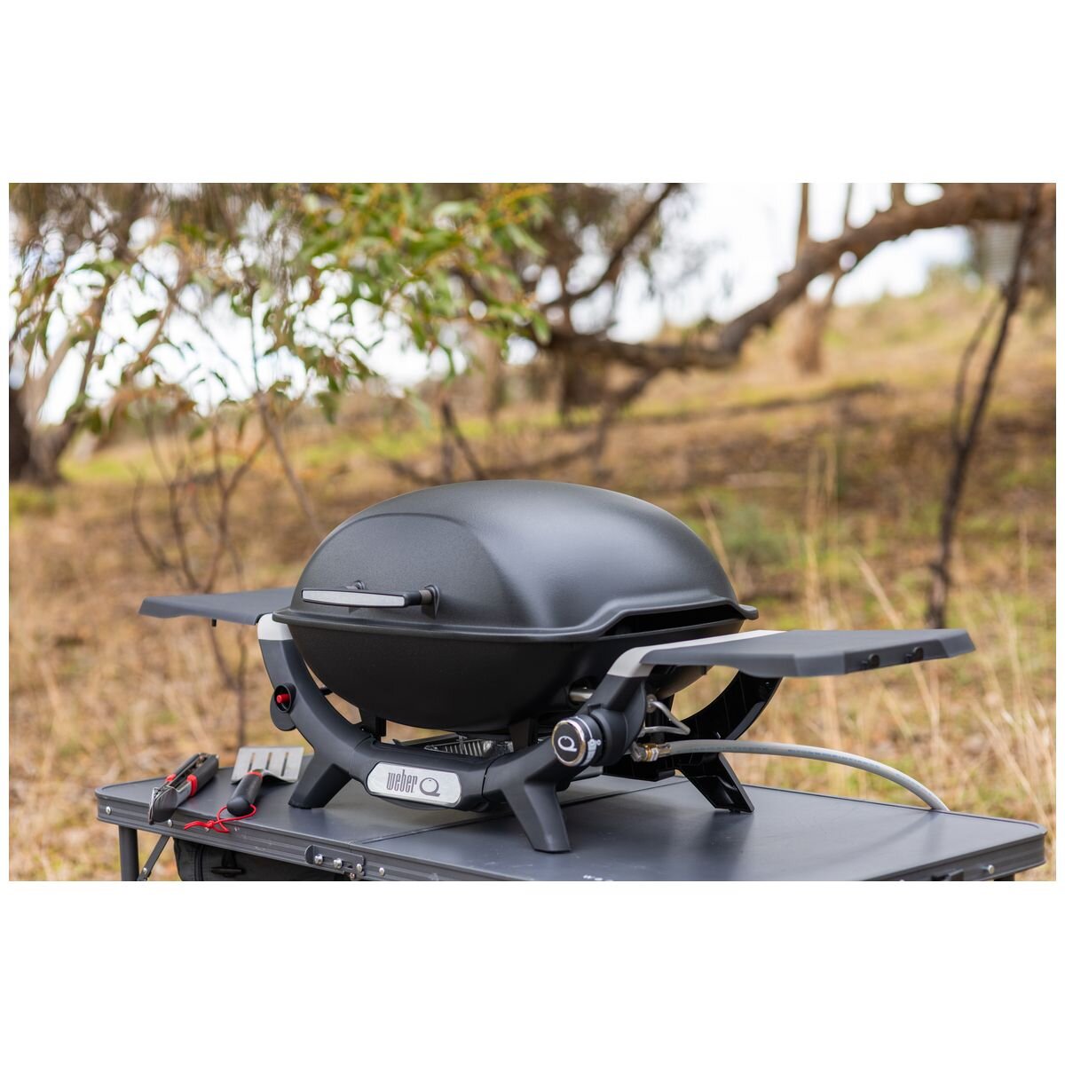 Weber Q2000N LP Black 28310024