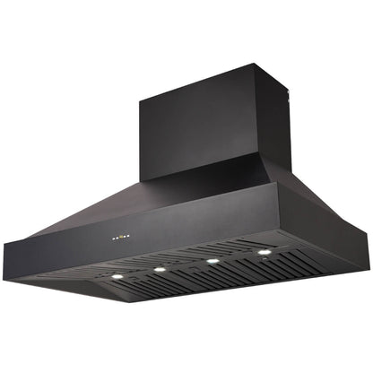 Schweigen 120cm BBQ Canopy Rangehood and ISO Drive SE Motor Pack CL8912BSEPAK